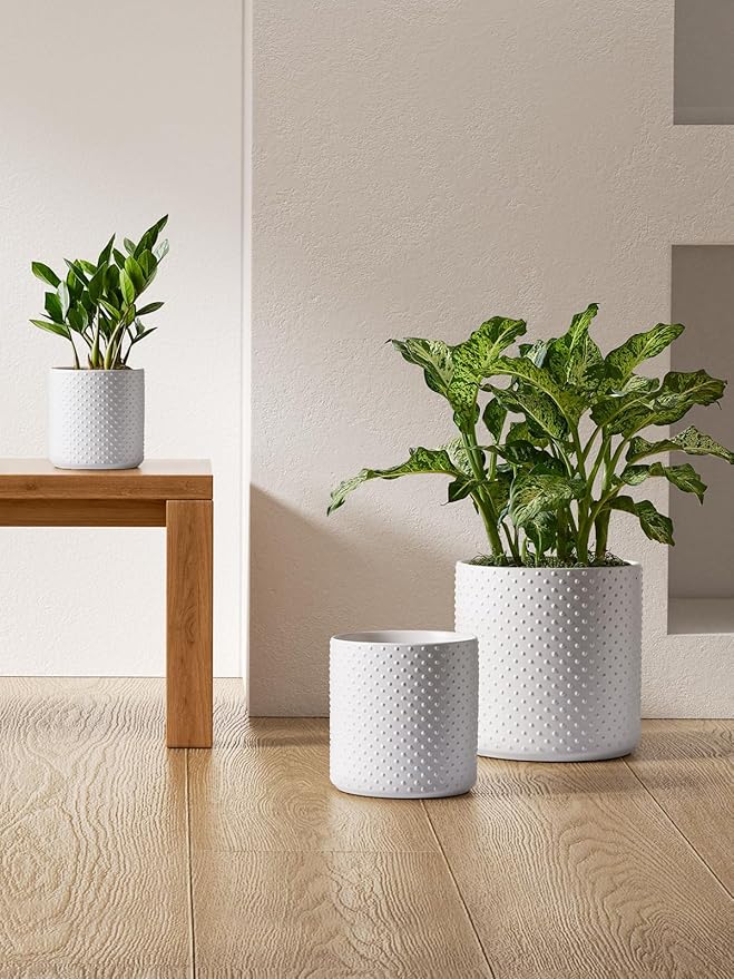 LE TAUCI 6+8+10 Inch Plant Pots Indoor, Ceramic Planter Pots for Plants, Raised Dots Flower Pots Indoor for Home and Office, Mid-Modern Century Pots Indoor with Drainage Hole and Silicone Plug, White