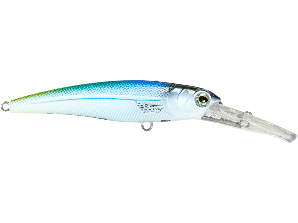 Voyager