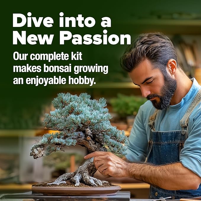 Bonsai Tree Kit - Gifts for Men & Women - Grow 4 Bonsai Trees - Unique Gardening Crafts for Adults, DIY Hobbies for Plant Lovers & Gardeners - Unusual Christmas Gift Ideas for Mom & Dad