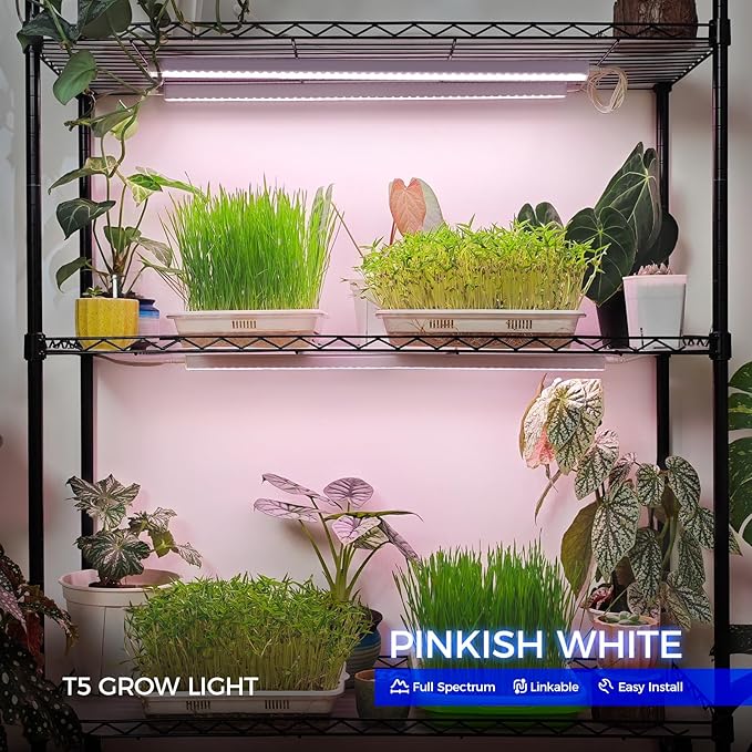 Barrina T5 Grow Lights for Indoor Plants, Full Spectrum Grow Light, 2ft 80W (8 x 10W), Plant Lights for Indoor Plants Growing, Pinkish White, 8-Pack