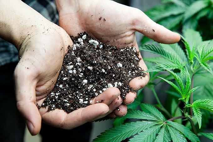 Premium Happy Plant Potting Soil Mix - Optimal Nutrient-Rich Blend for Thriving and HIGH-Yield Herbal Plants - 3 Quart