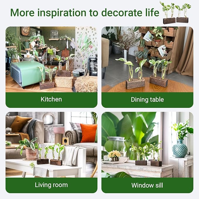 Ivolador Plant Propagation Stations 4 Test Tube Plants Terrariums in Wooden Stand Gifts for Plant Lovers for Hydroponic Plants Office Home Decor Hydroponic Vase Gift Box 2 Sets