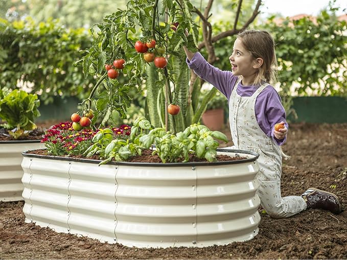 Galvanized Raised Garden Beds Outdoor // 4×2×1 ft (2-Pack) Planter Raised Beds for Gardening, Vegetables, Flowers // Large Metal Garden Box (White) // Patented Tool-Free Design