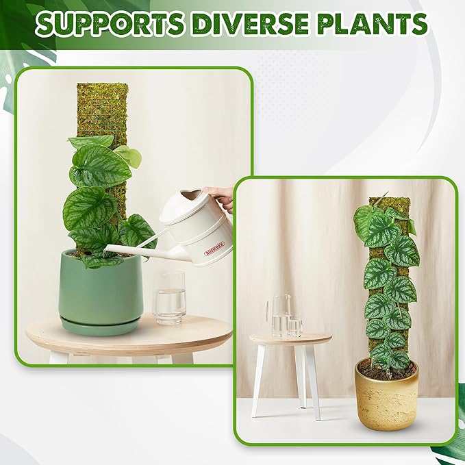 DUSPRO Flat Mesh Moss Poles for Climbing Plants Monstera Stackable Moss Pole for Plants with Real Moss Moss Plant Pole for Potted Plants Handmade Moss Stick for Indoor Plants Grow Upward 2 Pack 22”