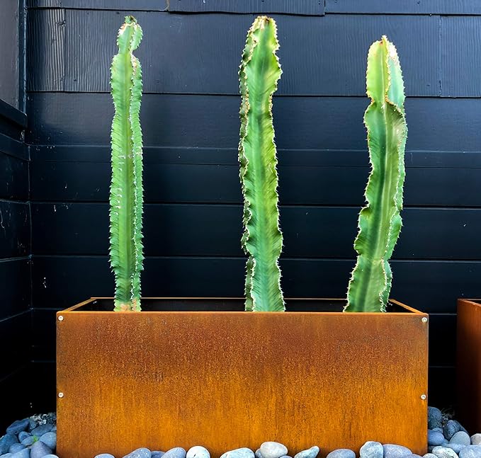 DIY CARTEL Corten Steel Rectangular Outdoor Planter Box, Rustic & Modern Farmhouse Design, Large Raised Metal Garden Bed for Commercial & Residential Use (36in x 12in x 16in)