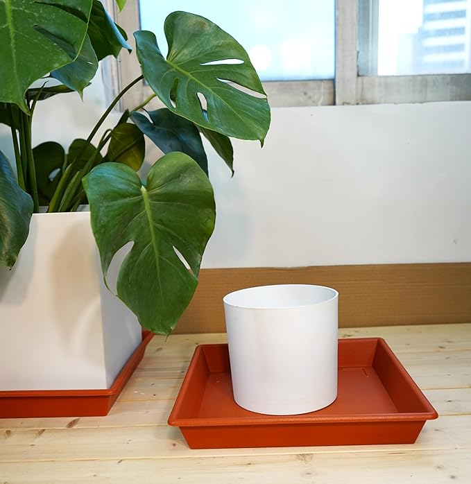 Square Plant Saucer 12 Inch 5 Pack, Plant Stand Plant Trays for Pots Heavy Duty Plastic Plant Saucers for Indoors Outdoors, Flower Pot No Holes Terracotta Plant Lover Gardening Gifts