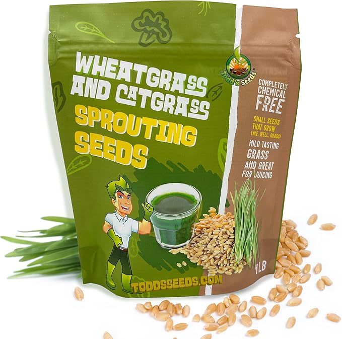 Todd’s Seeds – Cat Grass for Indoor Cats, 1lb Wheatgrass – Premium, Non-GMO, Pet-Safe & Easy to Grow – No Fillers, 100% Chemical-Free