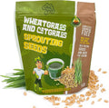 Todd’s Seeds – Cat Grass for Indoor Cats, 1lb Wheatgrass – Premium, Non-GMO, Pet-Safe & Easy to Grow – No Fillers, 100% Chemical-Free