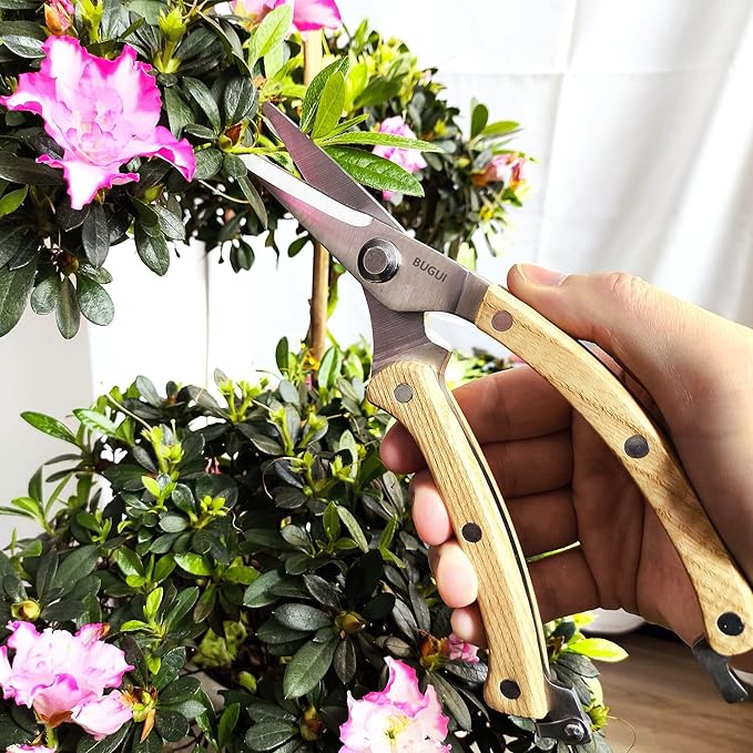 BUGUI Wood Handle Garden Shears, Long Straight Tip, All Steel Construction, Sharp, Well Designed Garden Scissors, 8"