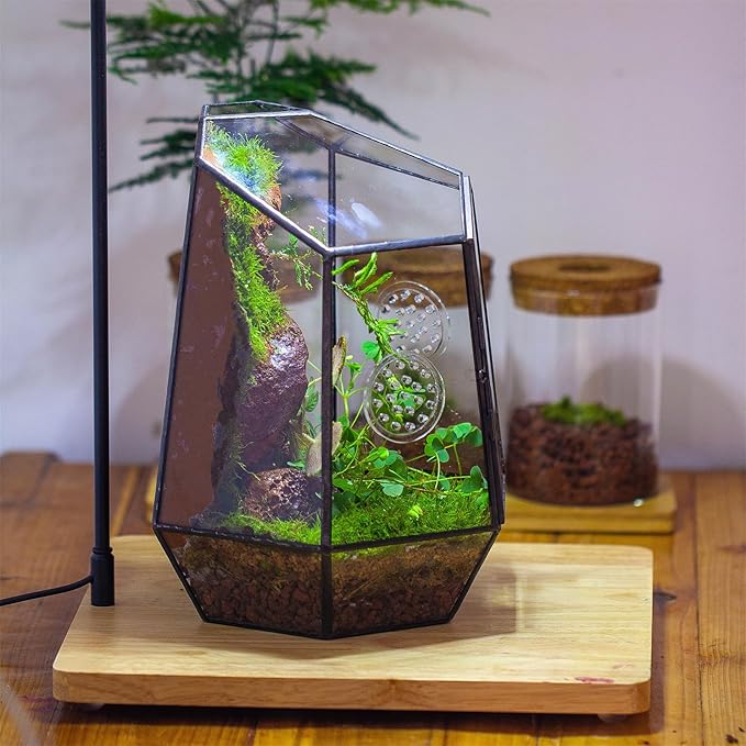 NCYP Closed Geometric Glass Enclosure with Front Opening Door & 2 Vent Holes for Insects, Succulent, Cacti - 7.9"x6.9"x9.8" Black Irregular Terrarium Planter - Home Garden Tabletop Decor (No Plants)