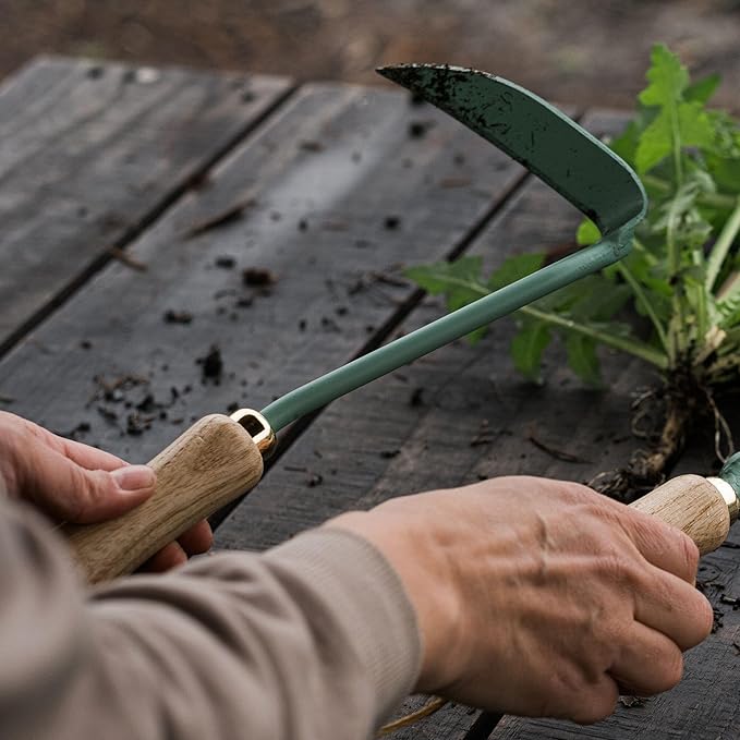 Barebones Japanese Weeding Hoe - Hoe Garden Tool - Durable Stainless Steel Hand Tool for Weeding and Digging (Ash/Mint)