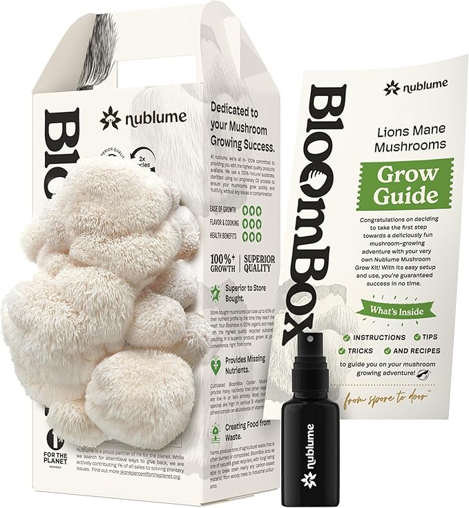 Lion's Mane Mushroom Grow Kit | Grow Your Own Fresh Gourmet Mushrooms at Home | Edible Indoor Mushroom Growing Kits Great Gift