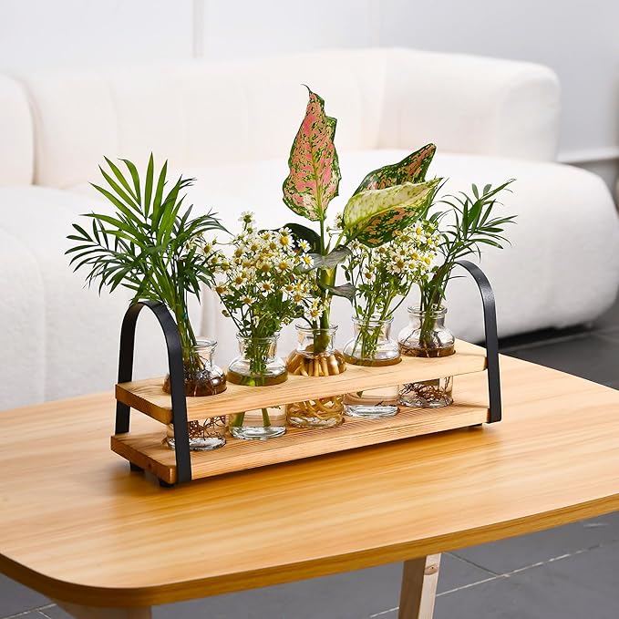 Plant Propagation Stations with Wood Stand, Desktop Plant Terrarium for Propagating Hydroponic, Flower Vase for Home Kitchen Office Decor, Plant Lover Gifts