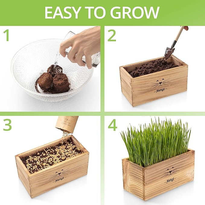 Organic Cat Grass for Indoor Cats - 4X Seed Packets | Pet Cat Grass Kit for Growing Wheat Grass w Planting Seeds, Tools & Planter