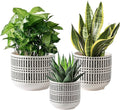 Docrin Plant Pots Ceramic: 6.5+5.3+4 Inch Flower Pots with Drainage Holes for Home/Office - Set of 3/White and Black