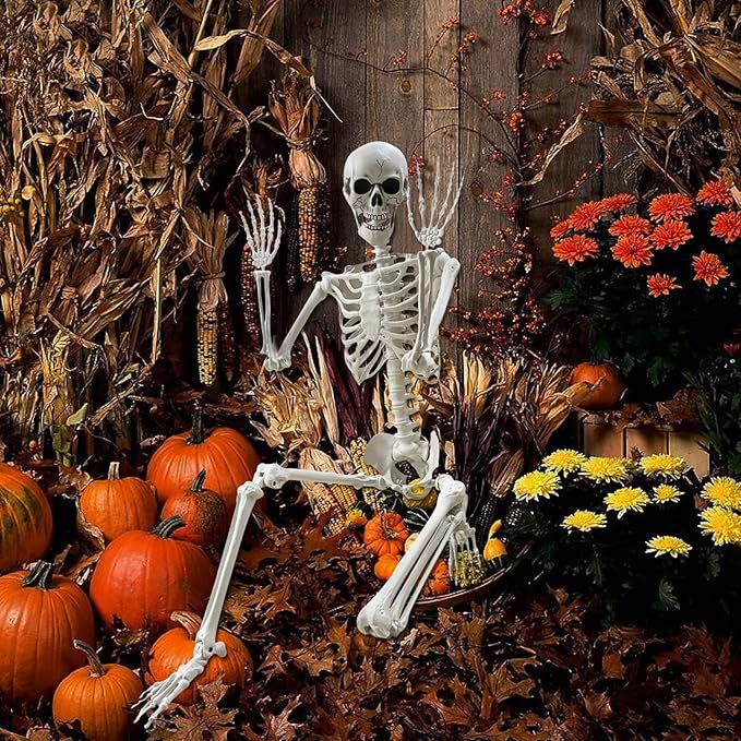 Lodou 5.4Ft Posable Life Size Human Adult Skeletons Plastic Human Bones with Movable Joints for Halloween Decoration