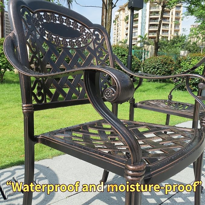 Outdoor Dining Chair Cast Aluminum Patio Chairs Set of 2 All-Weather Patio Dining Chair with Adjustable Feet for Backyard Garden (Crown Chair)