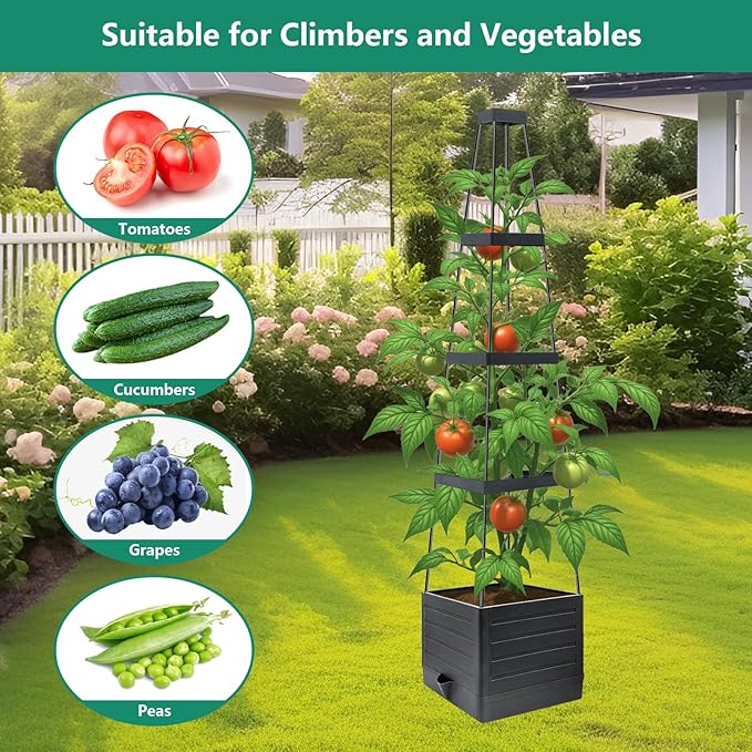 2 Pack Raised Garden Bed Planter Box with Trellis, 58”Tomato Planter with Trellis for Climbing Plants Vegetables Vine Flowers, Self-Watering Tomato Cage for Garden Patio Outdoor & Indoor