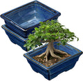Bonsai Pots Shallow Succulent Planters for Live Bonsai Trees Set of 2, 6.3" Ceramic Pot for Succulents Indoor with Drainage Hole, Outdoor Cactus Plant Bonsai Pot，Ceramic Flower Pot