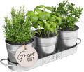 Barnyard Designs Indoor Herb Garden Planter Set with Tray, Metal Windowsill Plant Pots with Drainage for Outdoor or Indoor Plants, Set/3 (Galvanized)