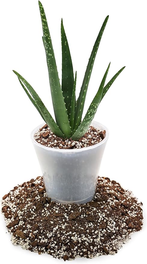 Premium Aloe Vera Potting Soil Mix - 10 Quart - (2 Bags of 5QT)