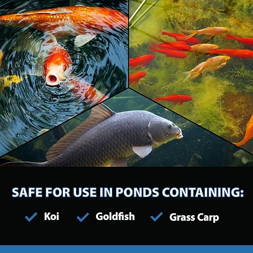 CrystalClear AlgaeOff Pond & Water Garden Scum Cleaner, Waterfall & Rock Slime Remover, String Algae Killer, Green Stain Treatment, EPA Registered Algaecide, Plant, Koi Fish, Bird & Pet Safe, 8 lbs