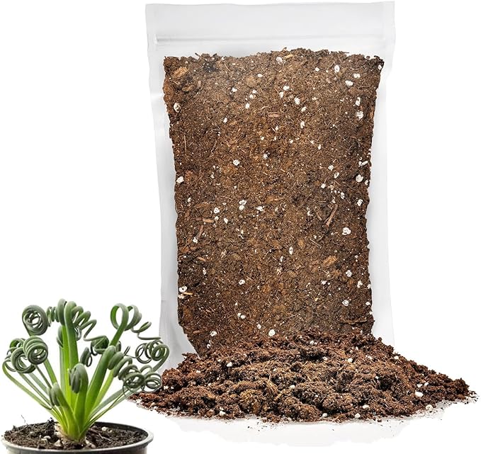 Premium Albuca Spiralis Potting Soil Mix - Perfect Balance of Nutrients, Drainage, and Aeration for Thriving Blooms - 2 Quart