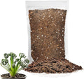 Premium Albuca Spiralis Potting Soil Mix - Perfect Balance of Nutrients, Drainage, and Aeration for Thriving Blooms - 10 Quart