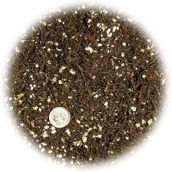 Fern + Perlite Soil Mix for Repotting and Planting Succulents and Cactuses - 1 Quart Bag