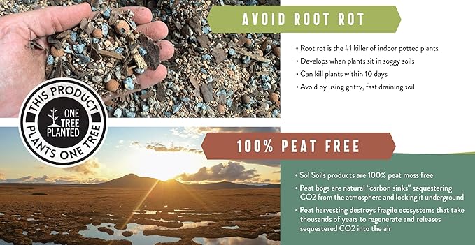 Sol Soils Succulent Gritty Mix 1 Gallon - Fast Draining Peat Moss Free Succulent Soil Potting Mix with Coconut Husk Chips, Perlite & Pumice