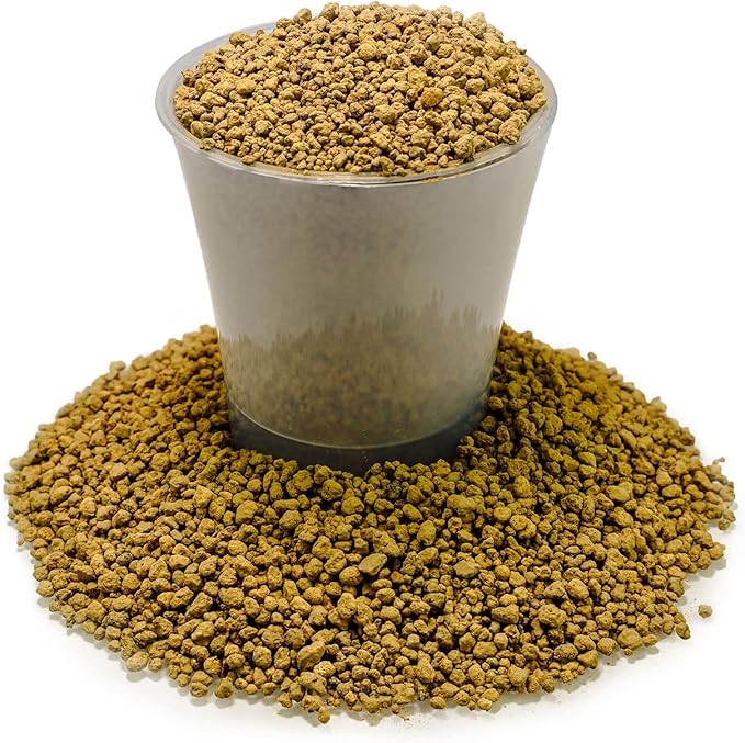 Japanese Hyuga Pumice - Premium Additive for Orchid & Bonsai Tree Soil |Professional Imported Sifted and Ready to Use (1 Quart Bag)