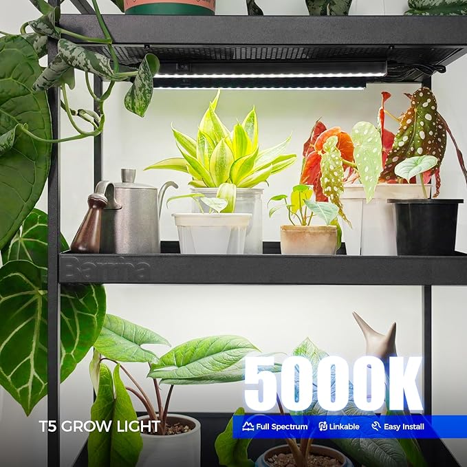 Barrina Plant Grow Lights, 5000K Full Spectrum Daylight White, T5 LED Grow Light Strips, 1ft Growing Lamp with Magnetic Bar, Plant Lights for Indoor Plants, Greenhouse, Black Cover, Linkable, 8 Packs