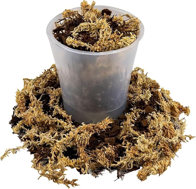 Premium Orchid Mix by GARDENERA | Fern + New Zealand Pine Bark + Sphagnum Moss + Perlite | Best for Growing and Repotting Orchids - 3 Quart Bag