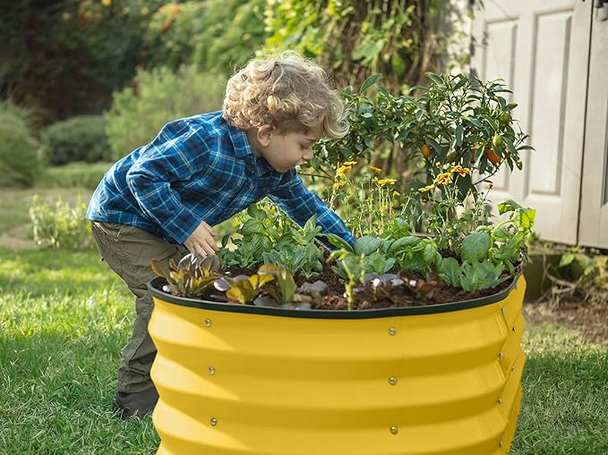 Galvanized Raised Garden Beds Outdoor // 4×2×1 ft (2-Pack) Planter Raised Beds for Gardening, Vegetables, Flowers (Yellow) // Large Metal Garden Box
