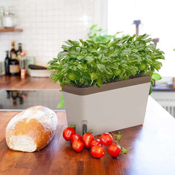 Amazing Creation Window Herb Planter Box, Vibrant Window Herb Garden, Self-Watering Rectangular Planter for Kitchen, Plants, and Succulents - Set of 3