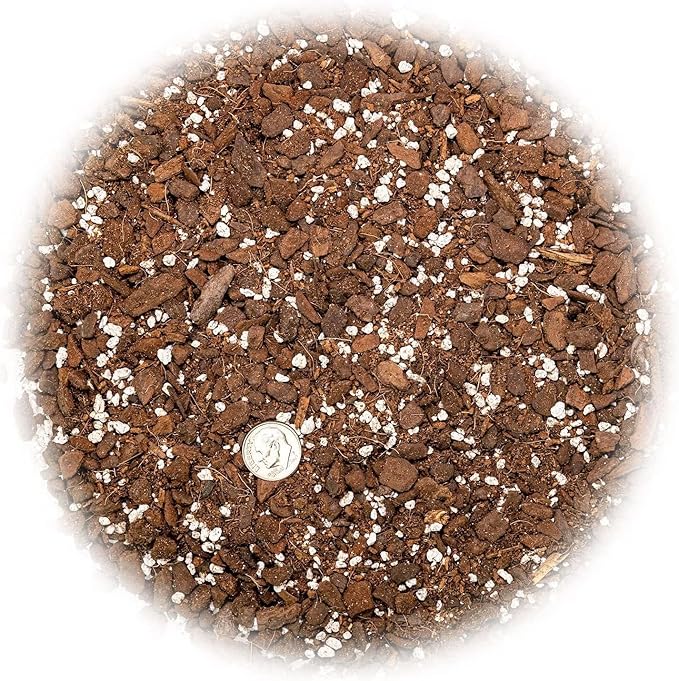 Premium Monstera Dubia Potting Mix - Hand-Crafted with The Finest Ingredients - 10 Quart (2 Bags of 5 Quart)