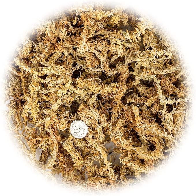 Premium New Zealand Sphagnum Moss by Gardenera - Organic Hand Mixed Long Fibered Sphagnum Moss Orchid - 2 Quart