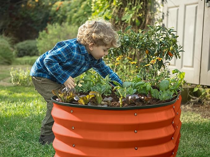 Galvanized Raised Garden Beds Outdoor // 4×2×1 ft Planter Raised Beds for Gardening, Vegetables, Flowers (Orange) // Large Metal Garden Box