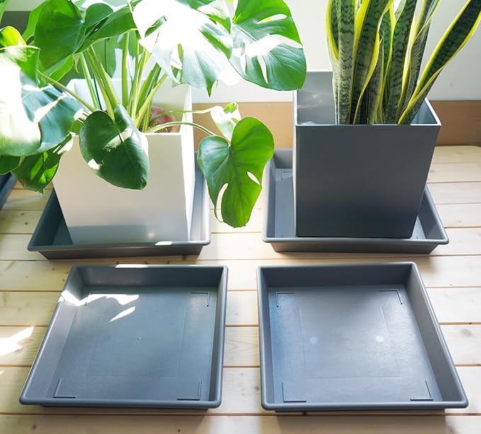 Square Plant Saucer 8 Inch 5 Pack, Plant Stand Plant Trays for Pots Heavy Duty Plastic Gray Plant Saucers for Indoors Outdoors, Flower Pot No Holes Plant Lover Gardening Gifts