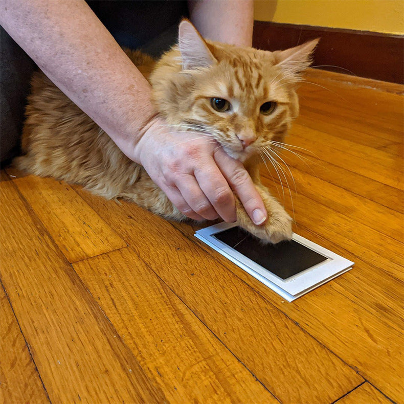 Commemorative Photo Album For Children And Pets Fingerprint Rubbing Postcard DIY Pet Supplies
