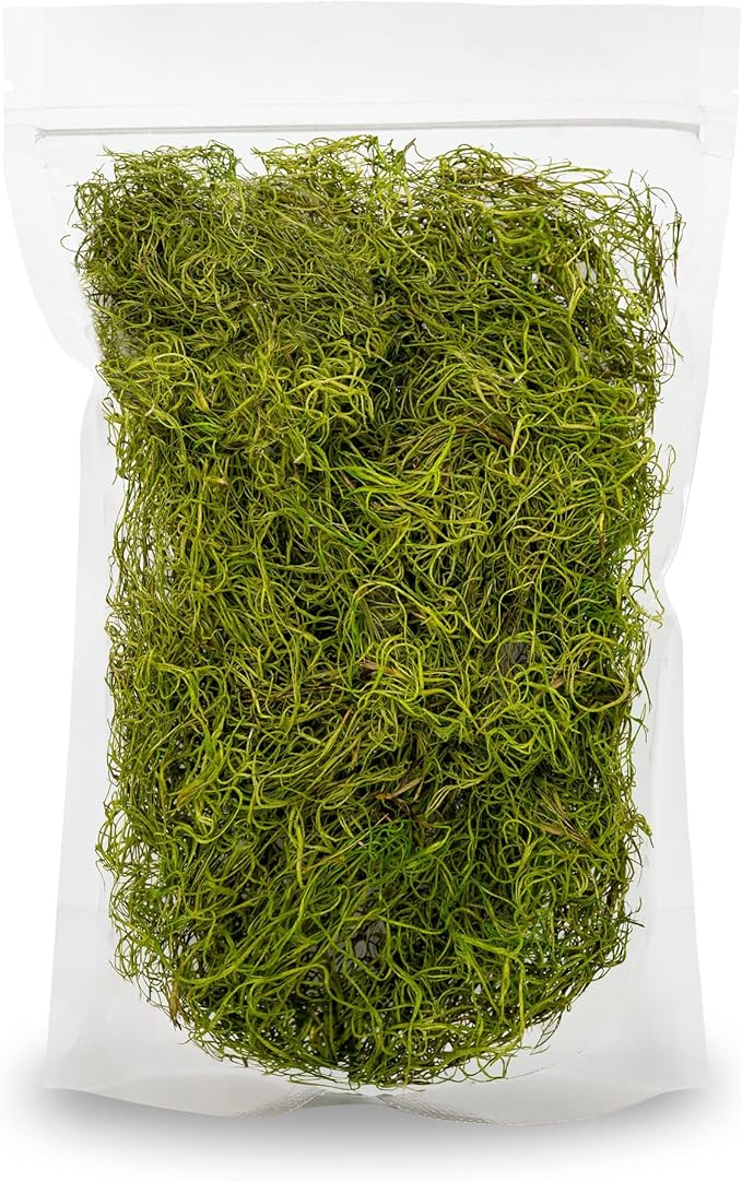 Premium Spanish Moss in Spring Green| Natural Preserved - Great Ground Cover - Filler for Potted Plants - by GARDENERA - 3 Quart Bag