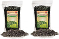 Aglaonema Plant Potting Soil - All-Natural Blend for Thriving Aglaonema Plants - Boosts Root Health and Distinctive Foliage - 10 Quart