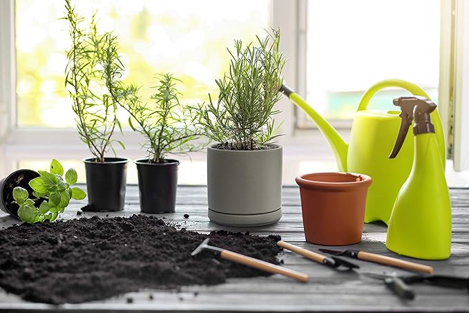 D'vine Dev 4.6 Inch & 6 Inch Ceramic Planter Pots for Plants with Drainage Hole and Saucer, Small Plant Pots Set, Speckled Grey, 94-G-S-3