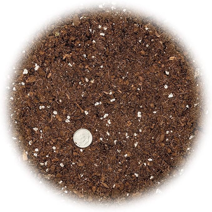 Citrus Tree Potting Soil Mix, Special Blend for Indoor Oranges, Lemons, Limes and More - (4 Quart Bag)