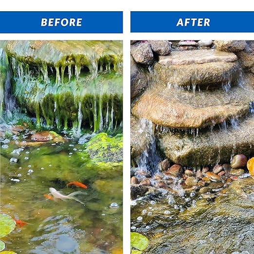 CrystalClear Algae D-Solv Pond Algae Control, Fast-Acting EPA Registered Algaecide, Use in Fountains & Outdoor Ponds Containing Koi & Other Fish, Treats 5,760 Gallons, 16 Ounces