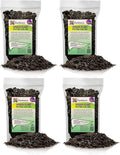 Premium Spider Plant Potting Soil Mix (4 Bags of 5 Quart)
