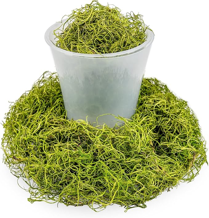 Premium Spanish Moss in Spring Green| Natural Preserved - 20 Quart - Great Ground Cover - Filler for Potted Plants - by GARDENERA (4 Bags of 5 Quart)