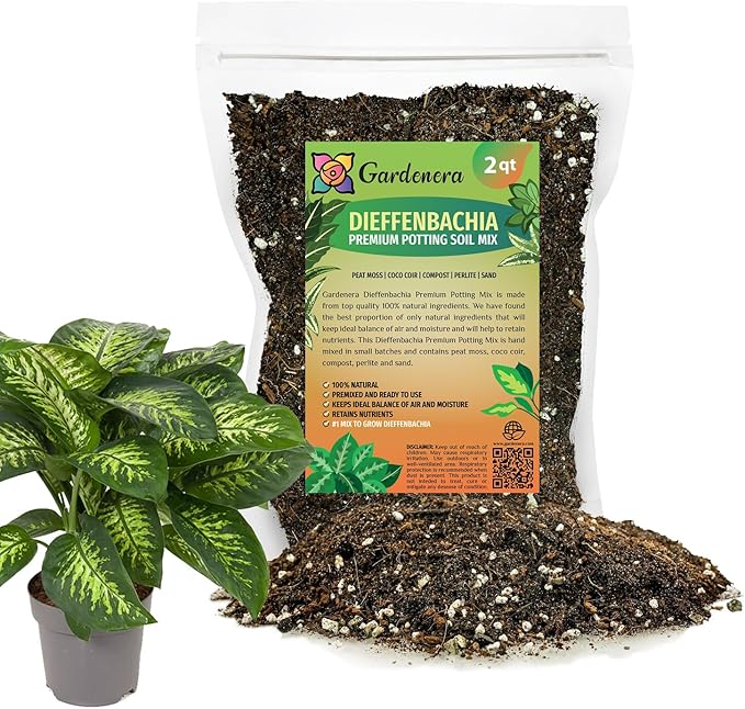 Premium DIEFFENBACHIA Potting Soil Mix - Ideal for Growing Robust and Healthy Dieffenbachia - 2 Quart