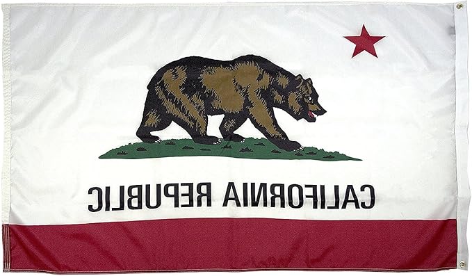 FlagSource California Nylon State Flag, Made in USA, 8x12'