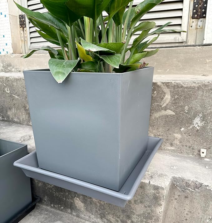Square Plant Saucer 8 Inch 5 Pack, Plant Stand Plant Trays for Pots Heavy Duty Plastic Gray Plant Saucers for Indoors Outdoors, Flower Pot No Holes Plant Lover Gardening Gifts